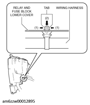 G11543519