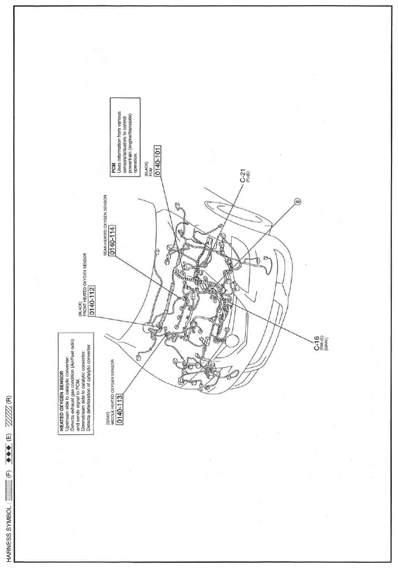 G11559166