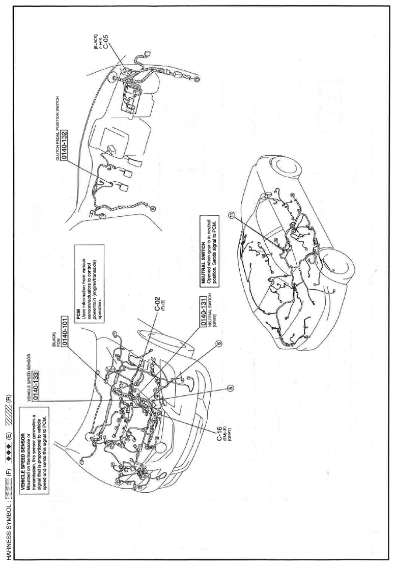 G11559174