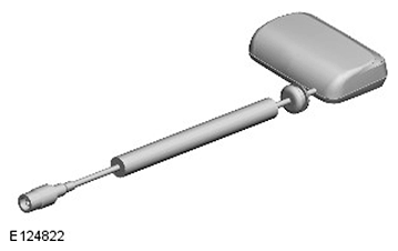 G11599271