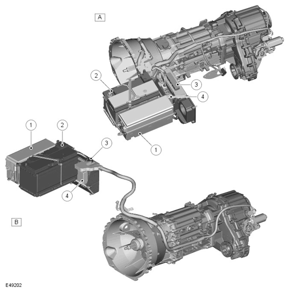 G11599959