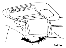 G11610879