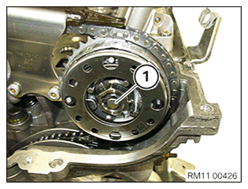 G11645182