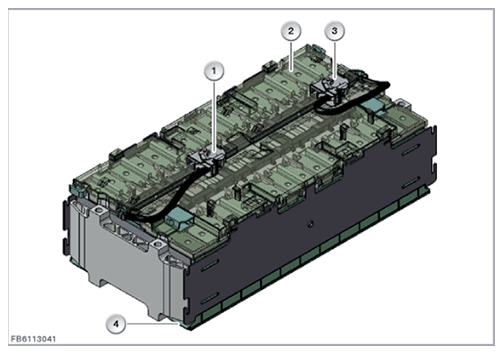 G11650695