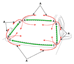 G11669374