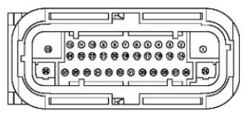 G11680248