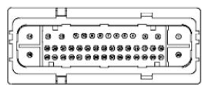 G11681588