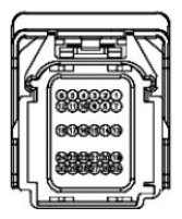 G11681589