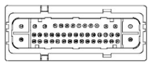 G11681771