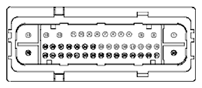 G11681949
