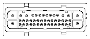G11681974