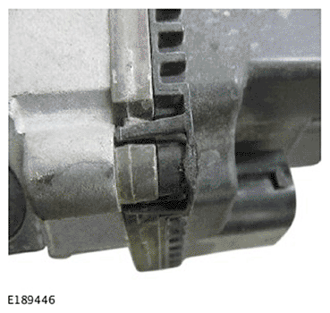 G11694033