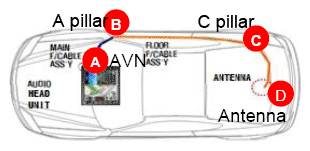 G11766054