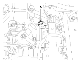 G11784230