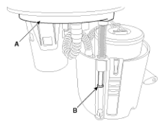 G11793989