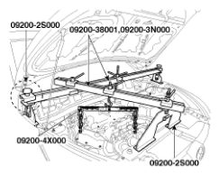 G11794034