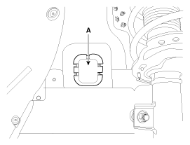 G11797095