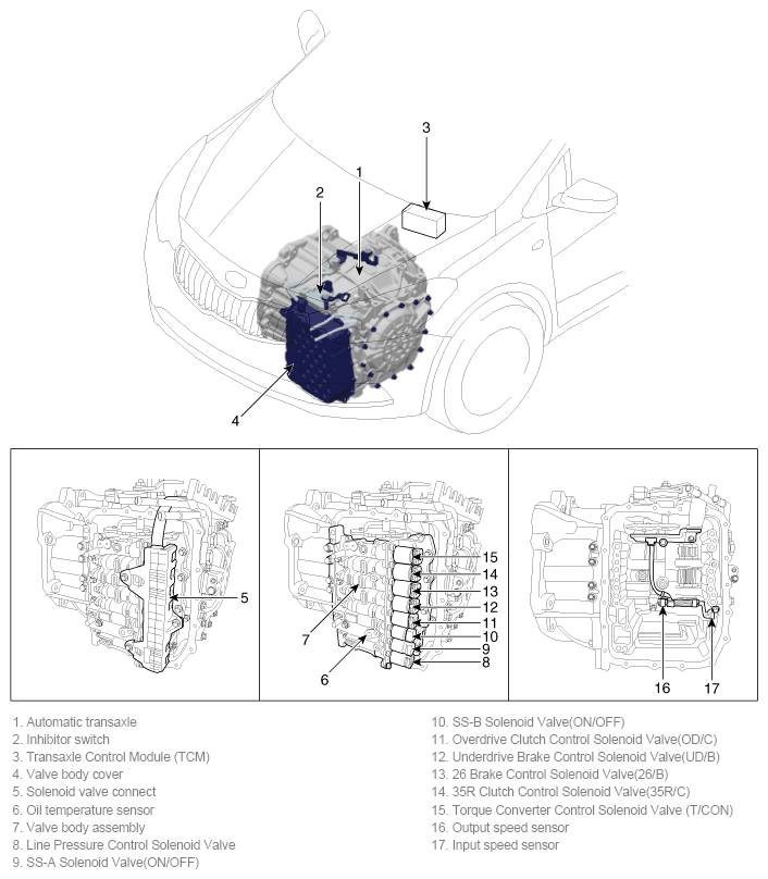 G11797147
