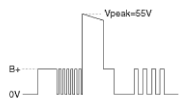 G11826913