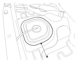 G11845312