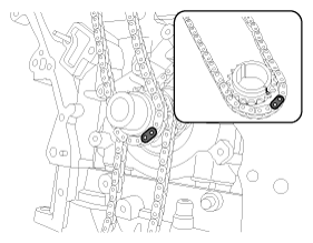 G11856386