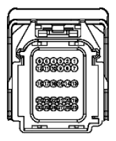 G11915527
