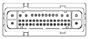 G11915919