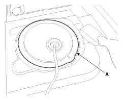 G11950126