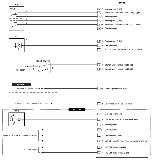 G11955480