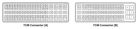 G11955804