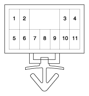 G11995856