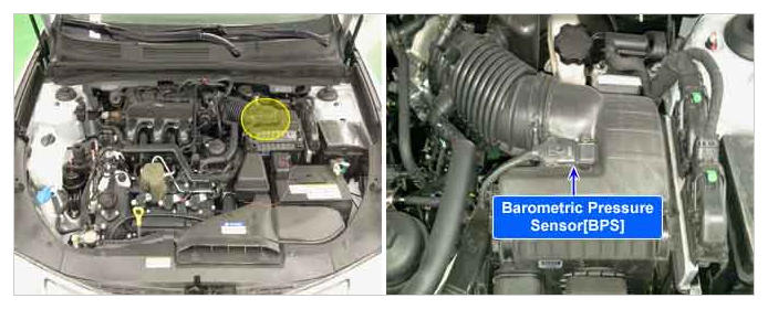 G12090284