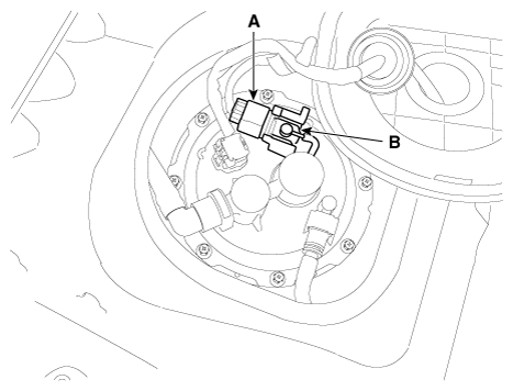 G12161446