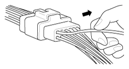 G12238560
