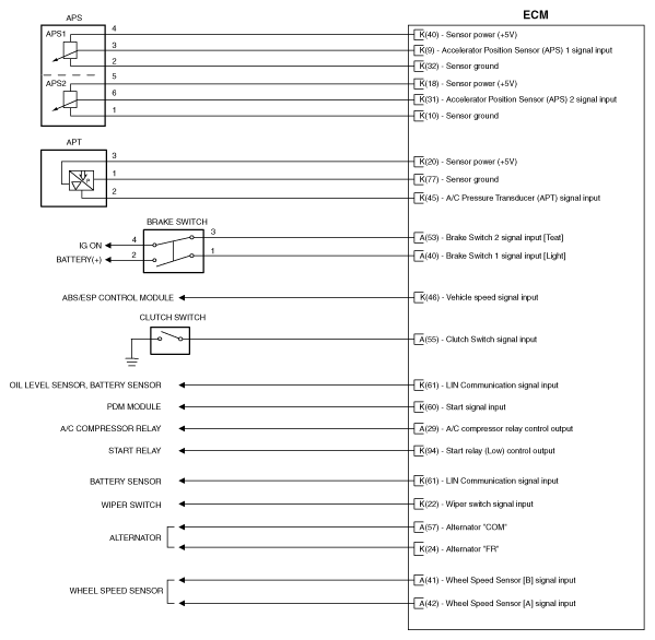 G12239079