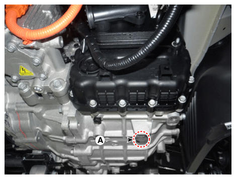 G12309181