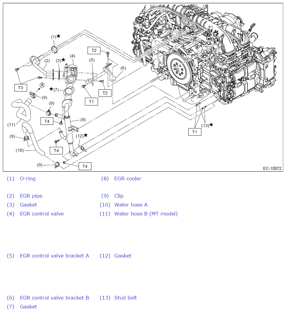 G12442606