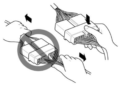 G12696065