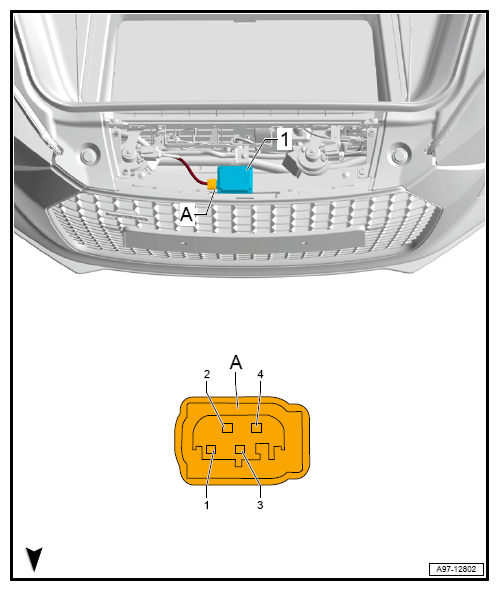 G12778076