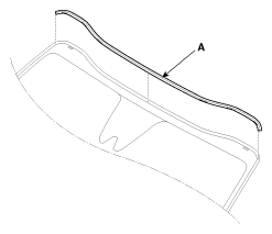 G12883421
