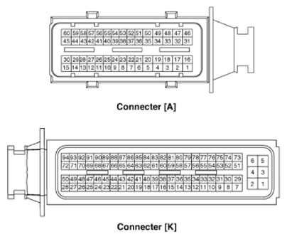 G12915359
