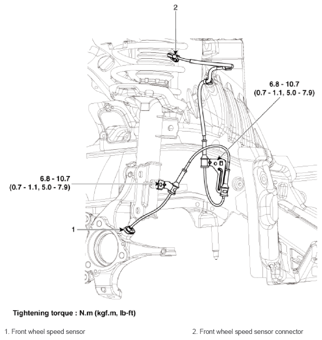 G13053518