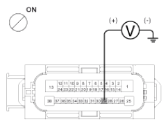 G13053555