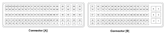 G13077806