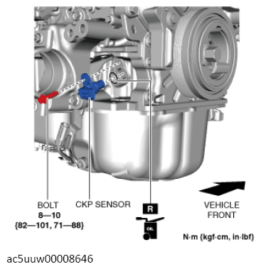 G13119174