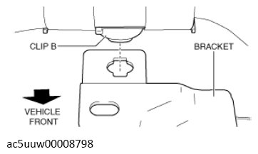 G13119281