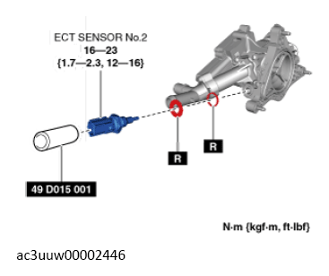 G13149729