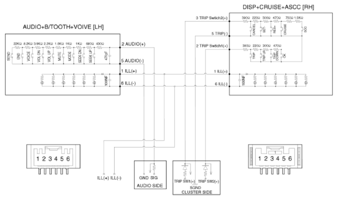 G13155444