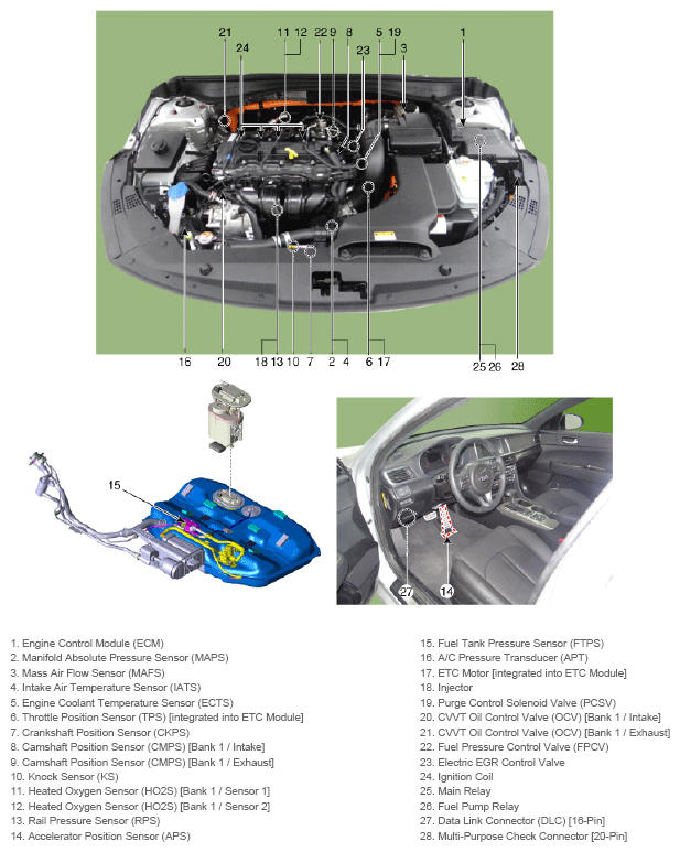 G13155673