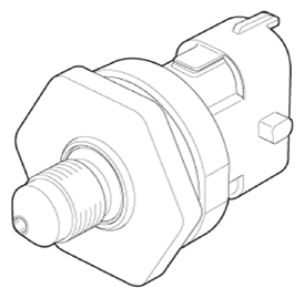 G13155752